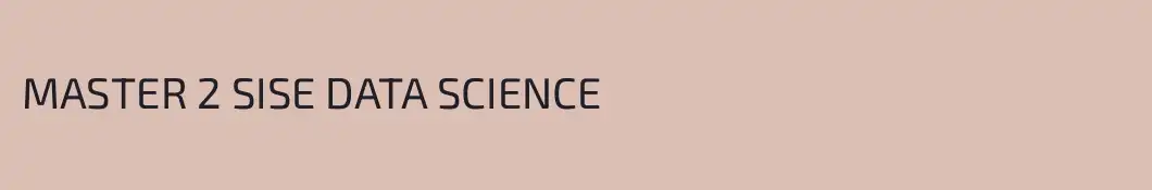 MASTER 2 SISE DATA SCIENCE